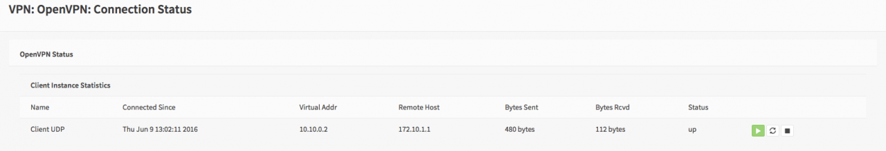OpenVPN 连接状态