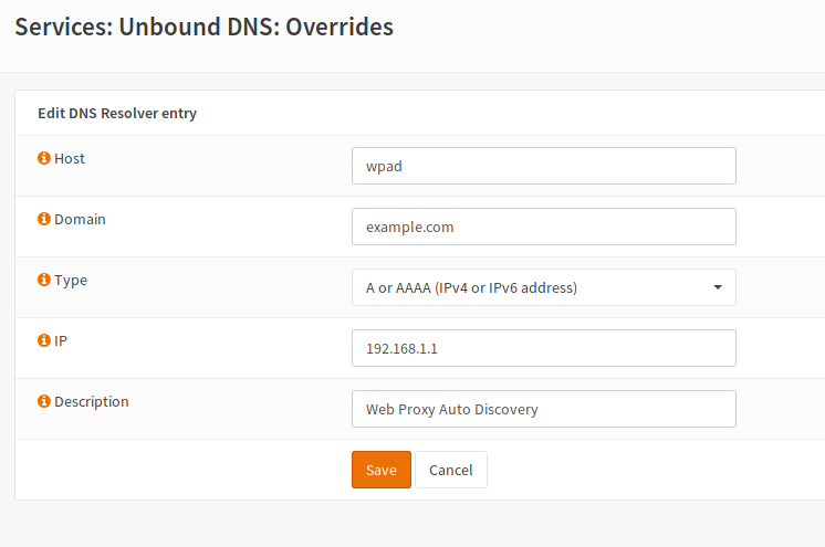 WPAD 手动 DNS 覆盖