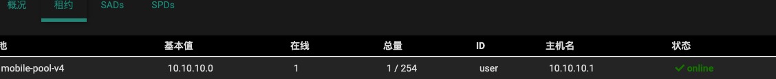 IPsec安全关联详情