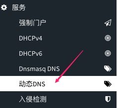 OPNsense配置动态DNS