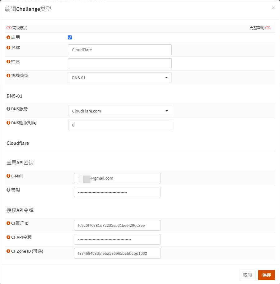 添加 DNS-01 挑战类型的配置页面截图
