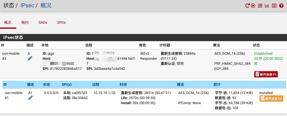 IPsec连接状态