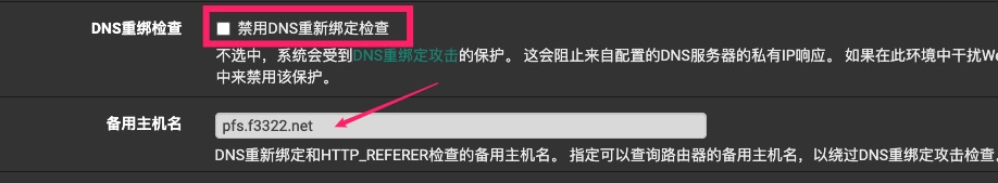 设置DNS重绑定检查的备用主机名