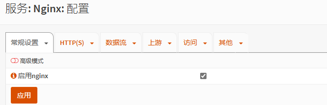 启用 Nginx 服务