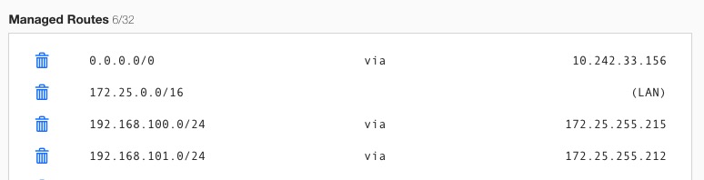OPNsense Zerotier网络配置示例