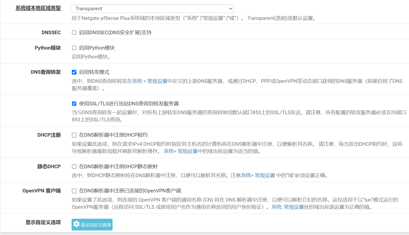 Unbound转发模式与SSL/TLS配置