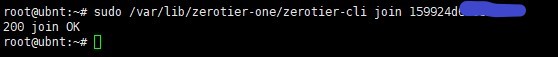 ZeroTier成功加入网络截图