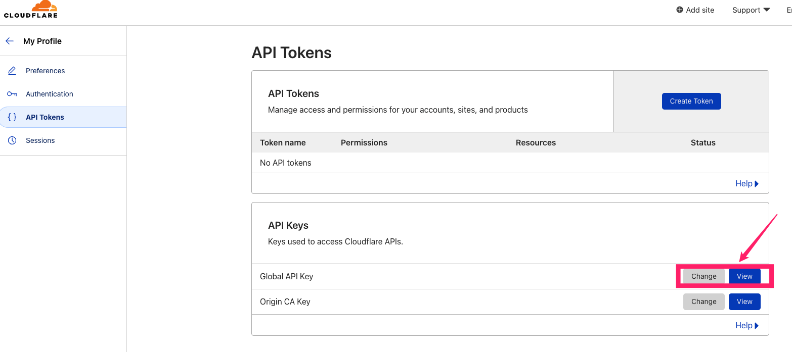 API Tokens页面，点击View按钮查看全局API密钥