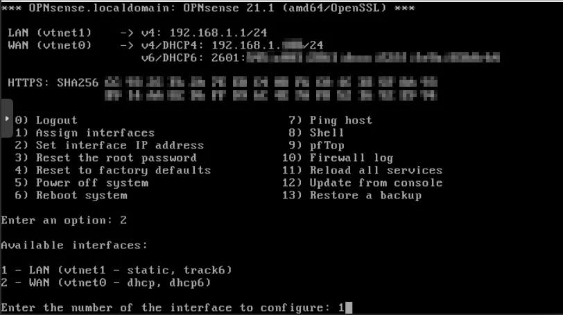安装步骤21：配置 IPv4 和 IPv6 模式