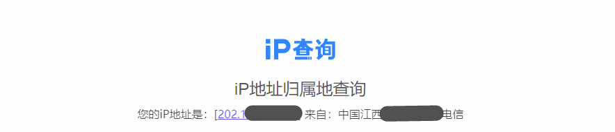 国内 IP 检测结果