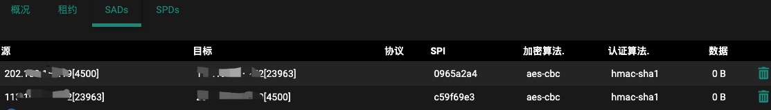 IPsec隧道信息