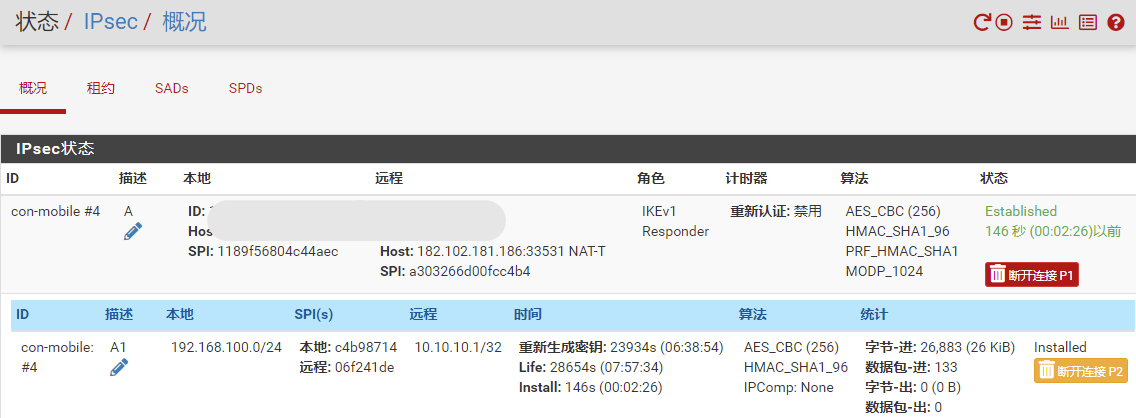 IPsec连接状态
