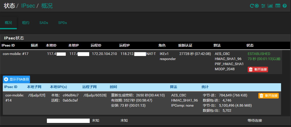 IPsec连接概况
