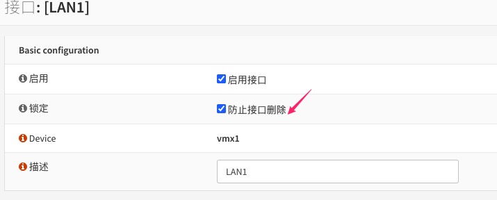 LAN接口防止删除选项