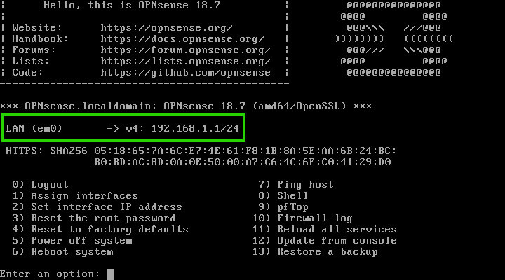 OpnSense网络接口