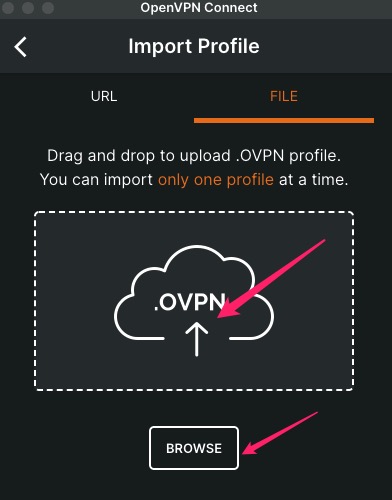 导入VPN配置文件