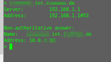 配置域覆盖后的nslookup查询结果